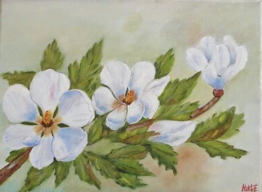 viragos kedvemben.jpg